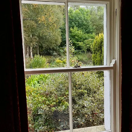 فيلة Clone House Event