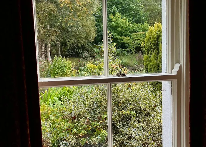 Villa Clone House Event